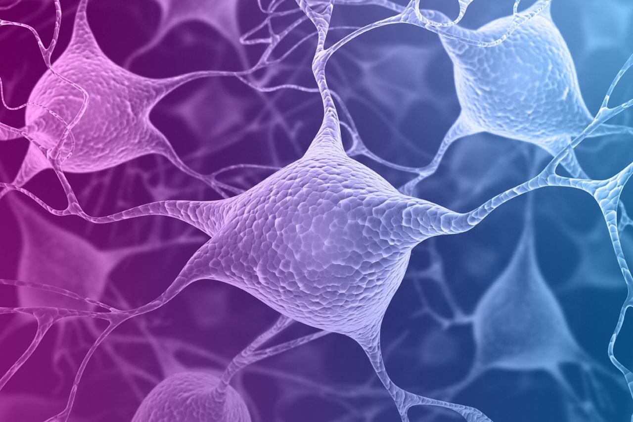 Linking Circadian Rhythms and Mental Health