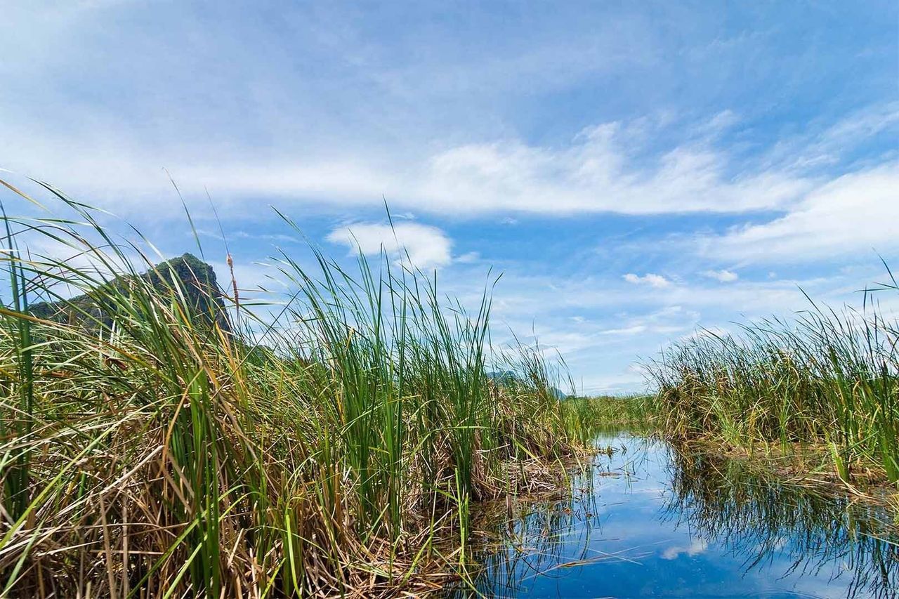 Studying the Biochemistry and Microbiology of Anoxic Sediments and Aquatic Environments