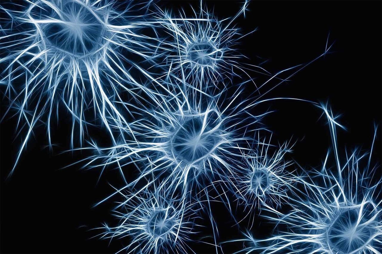 Using Viral Vectors to Research Microcircuits Within Distinct Brain Regions
