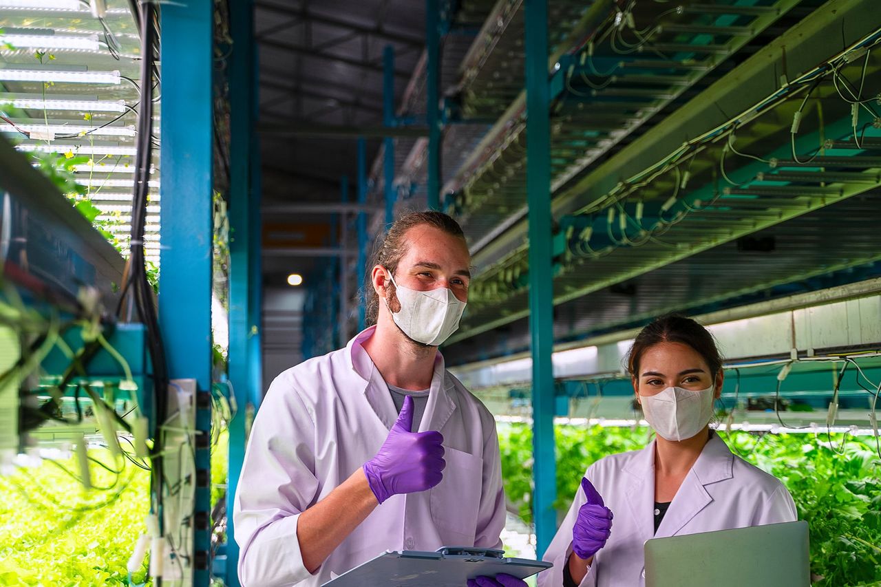 Reproductive Ecology of Plants
