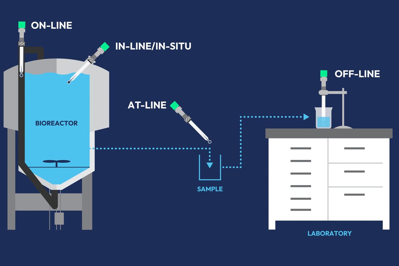 bioprocess monitoring and control diagram
