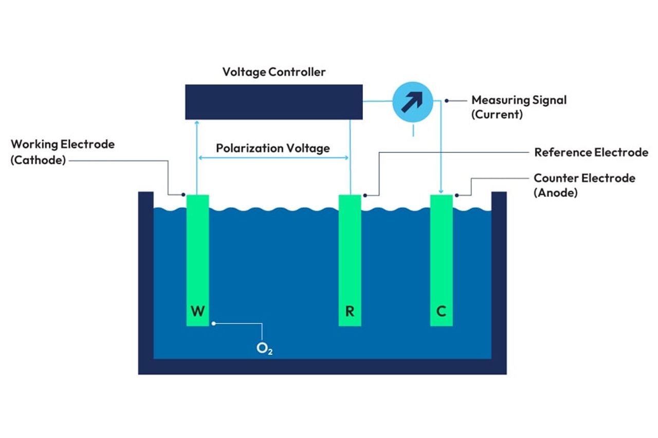 Polarographic do sensor diagram