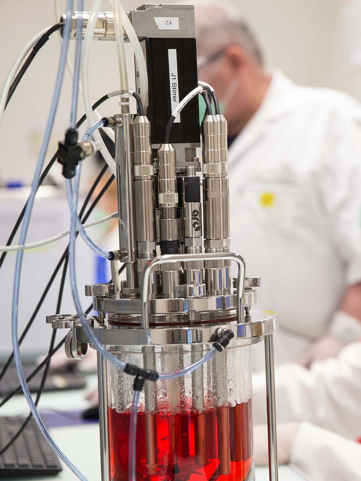 Bioprocessing