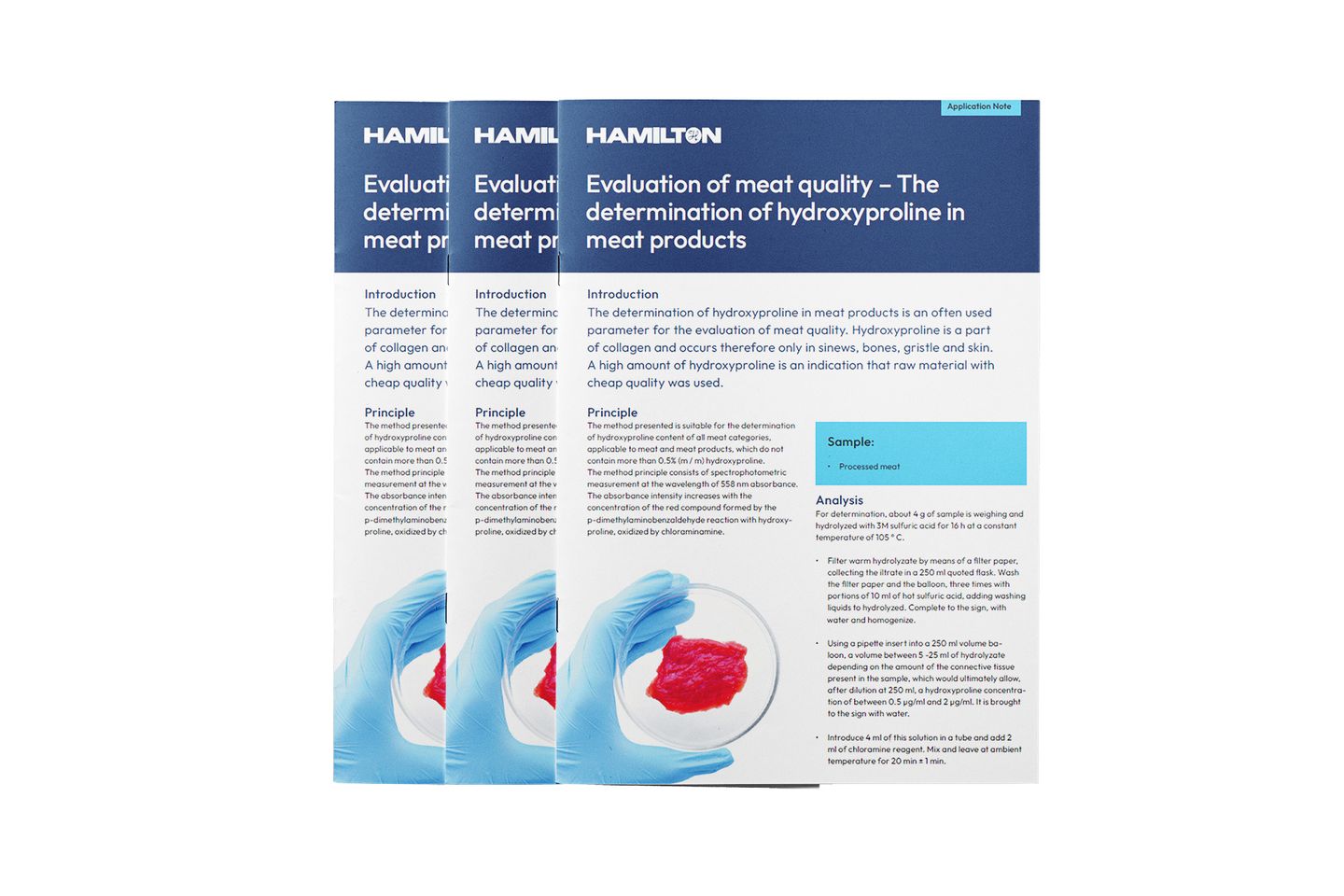 HAM App Note Meat ML700