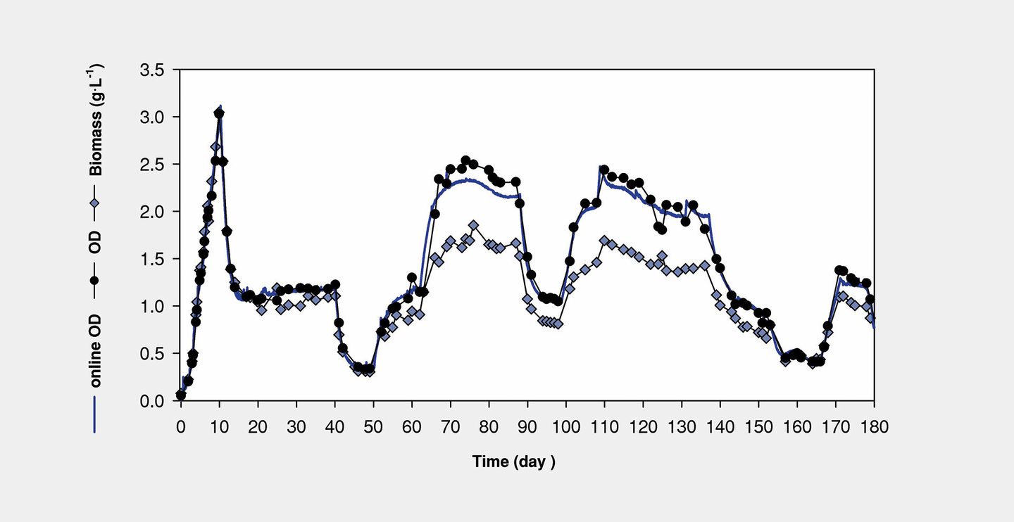 Line graph showing biomass and OD measurements over 180 days, with online OD sensor data overlay.
