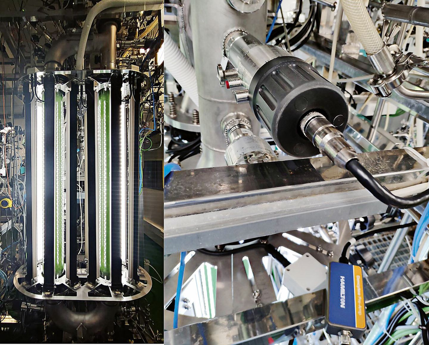 Illuminated photobioreactor with green algae culture beside a Hamilton sensor probe installed in stainless steel piping
