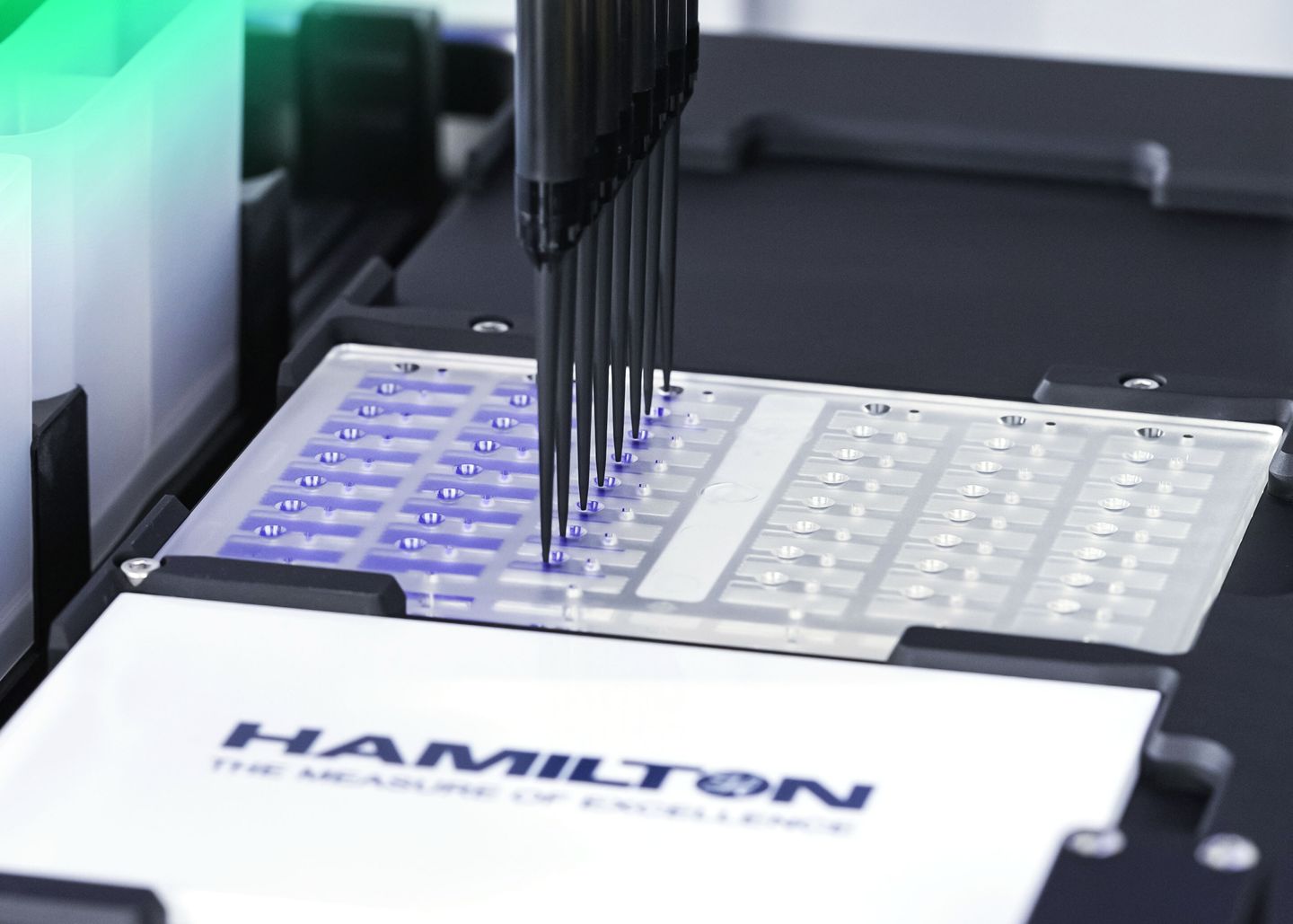 Hamilton automated liquid handler pipetting tips dispensing into a multi-well plate