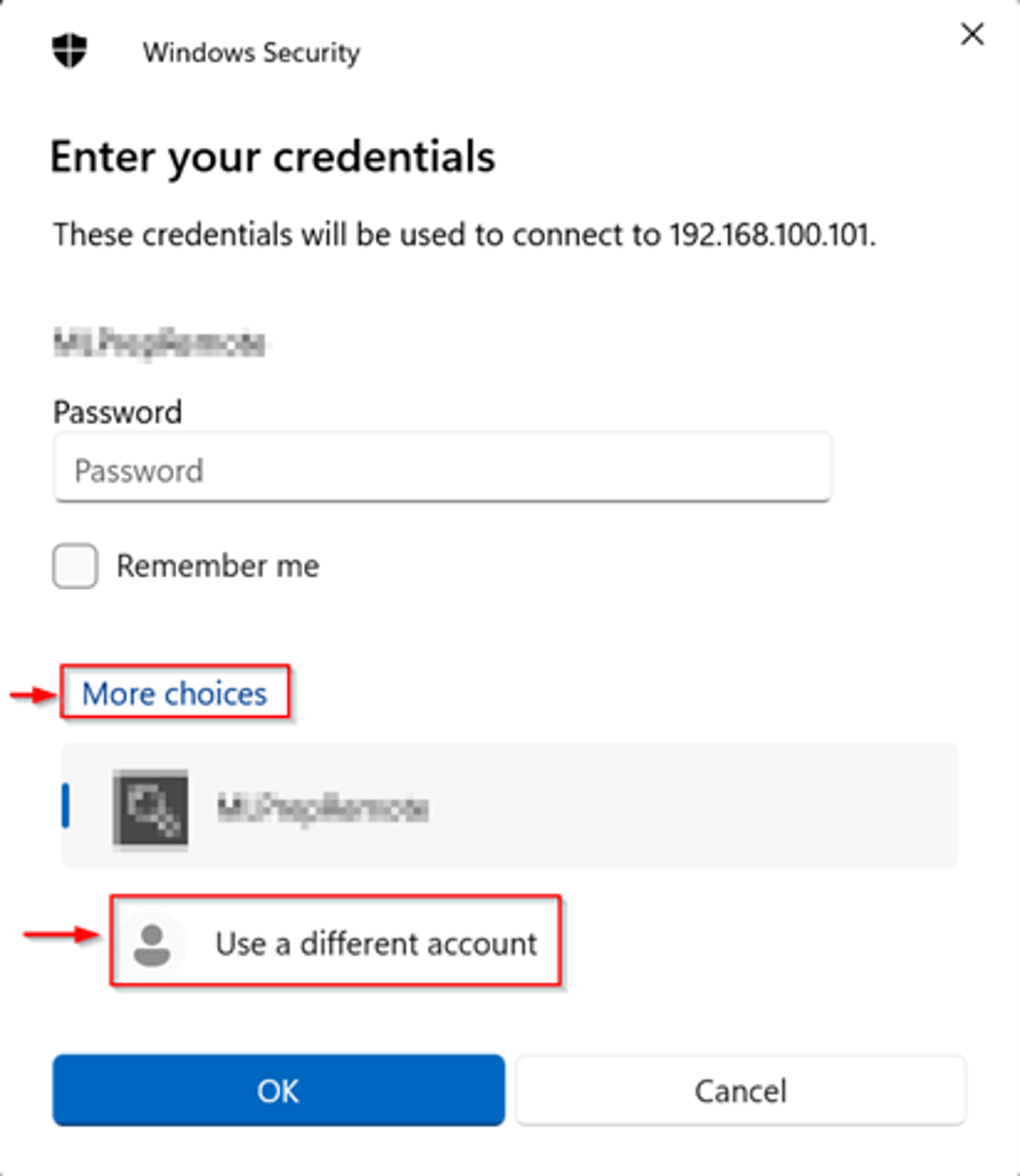 Windows Security dialog prompting credential entry to connect to 192.168.100.101, with "More choices" and "Use a different account" highlighted.