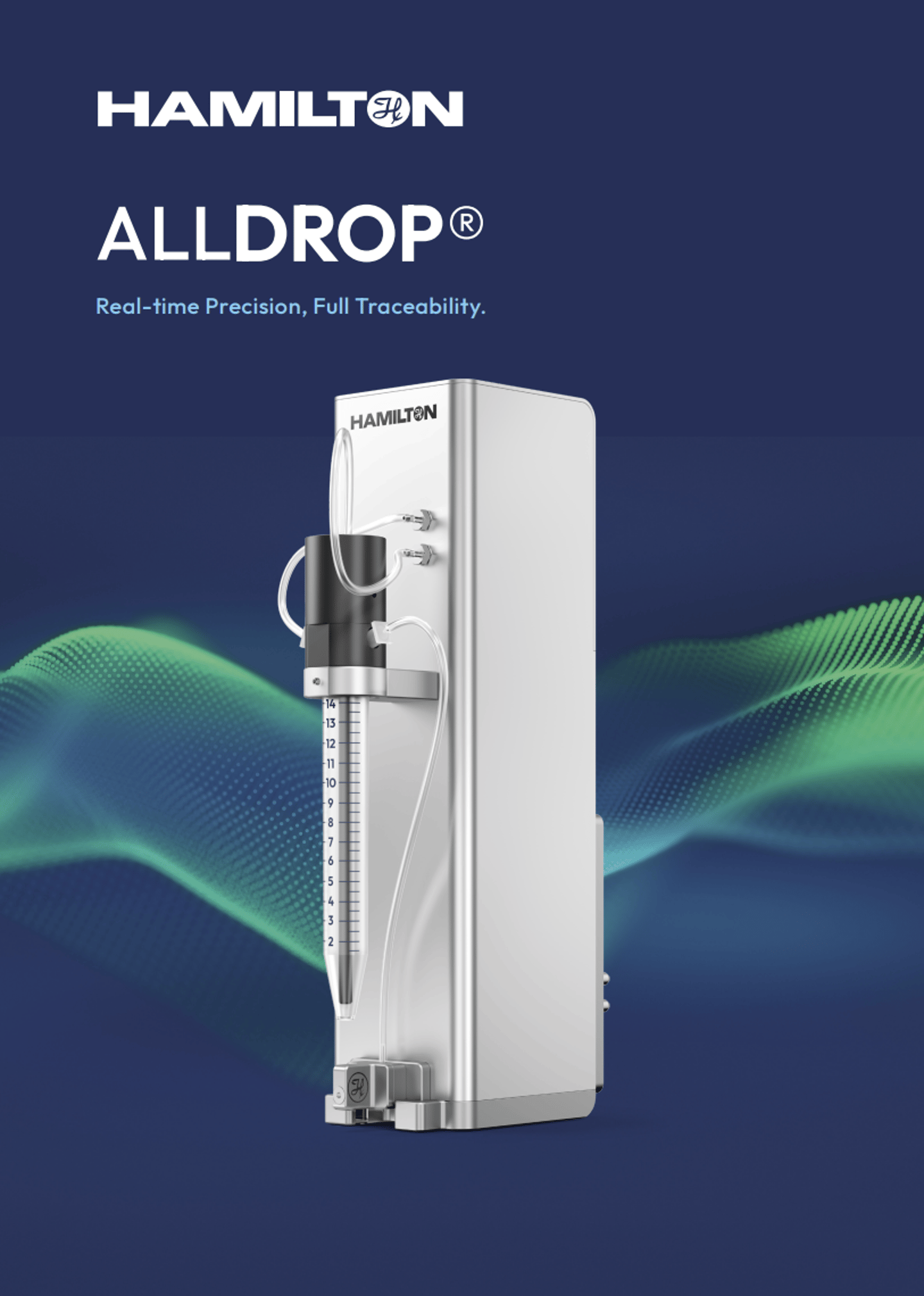 B 2406 17 2025 ALLDROP