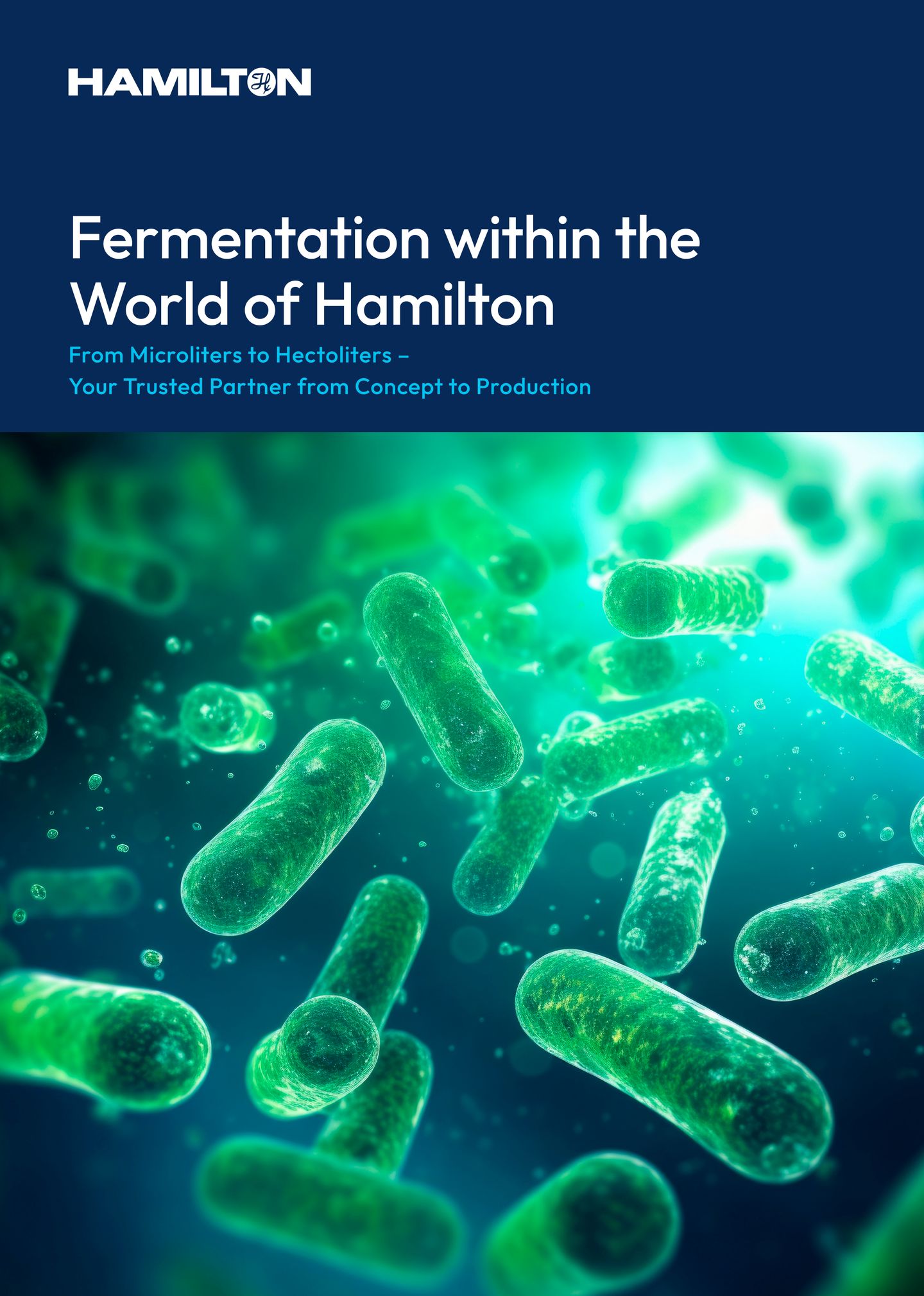 Hamilton brochure cover titled "Fermentation within the World of Hamilton" with a 3D render of green rod-shaped bacteria
