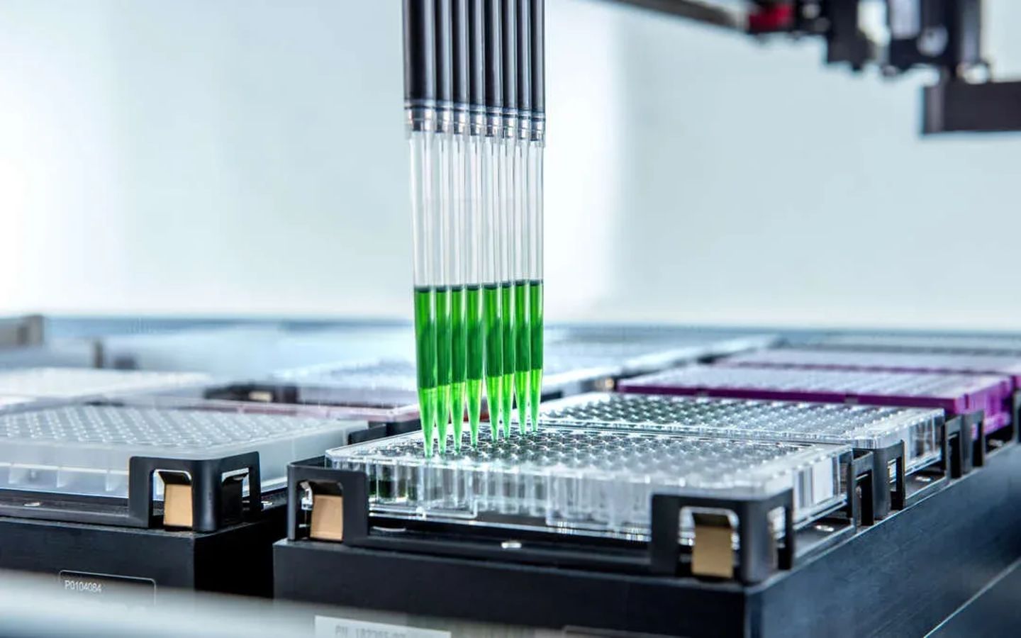 Automated liquid handler multi-channel pipette head dispensing green liquid into a clear microplate