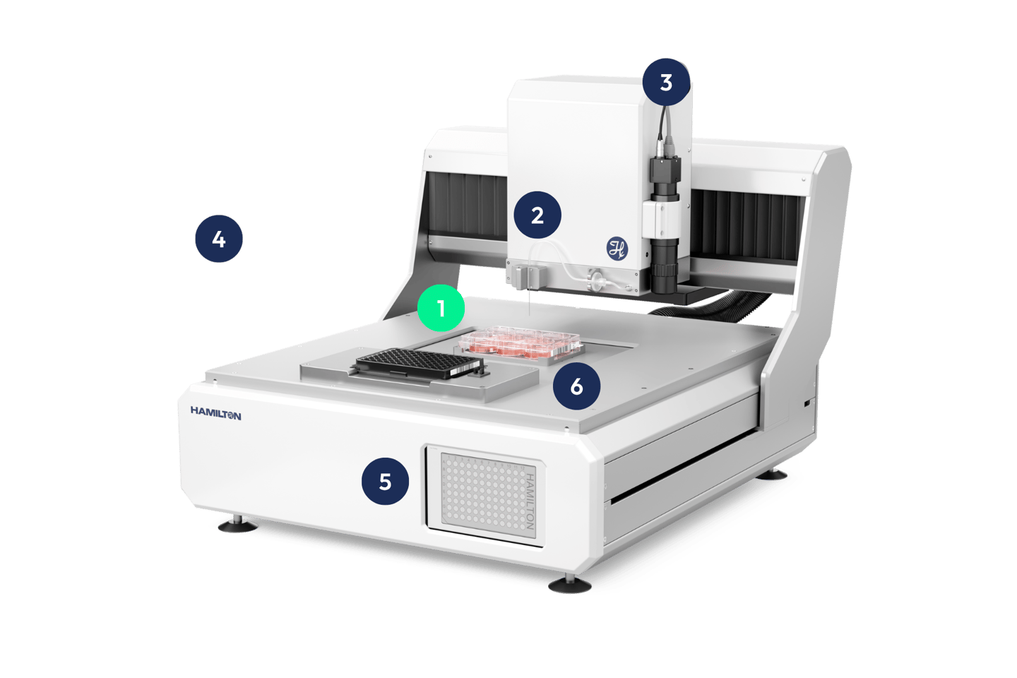 BIOSPOT Organoid Sorter - Feature
