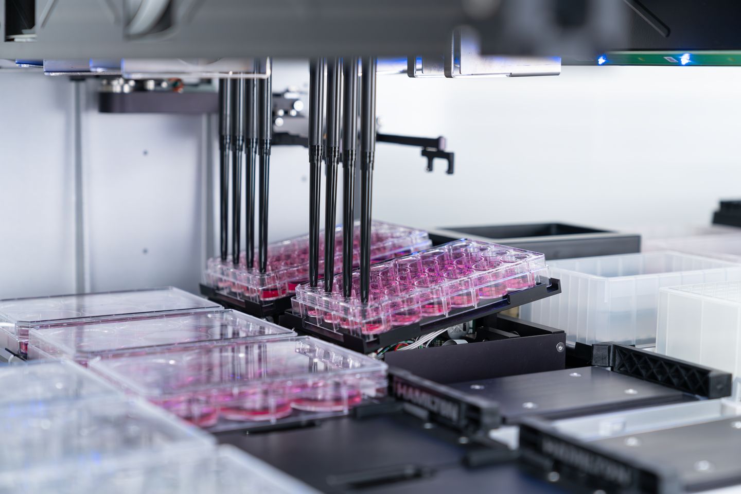 Automated liquid handler with multi-channel pipette head dispensing into tilted multiwell cell culture plates