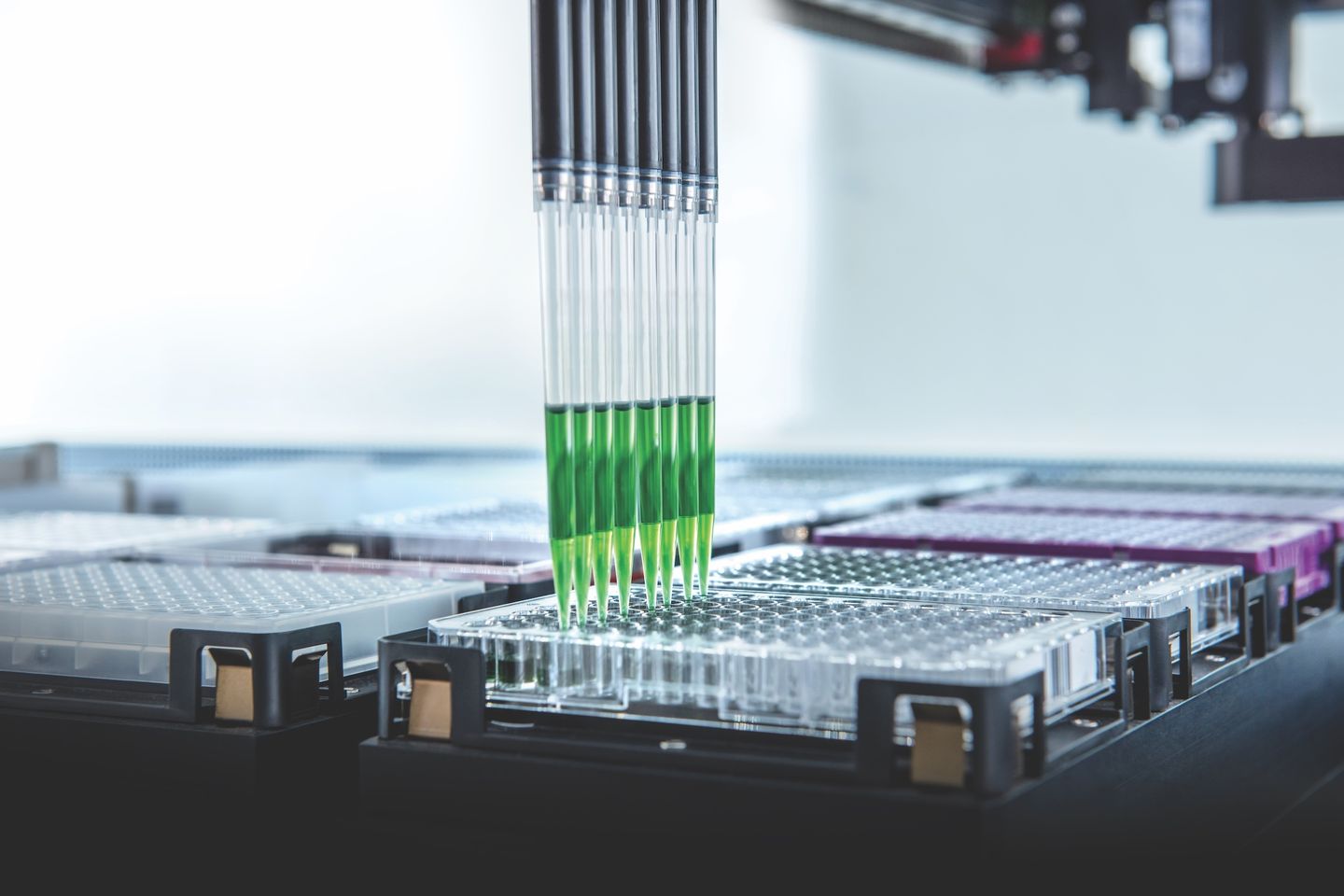 Automated liquid handler dispensing green liquid into a 96-well plate using an 8-channel pipette head