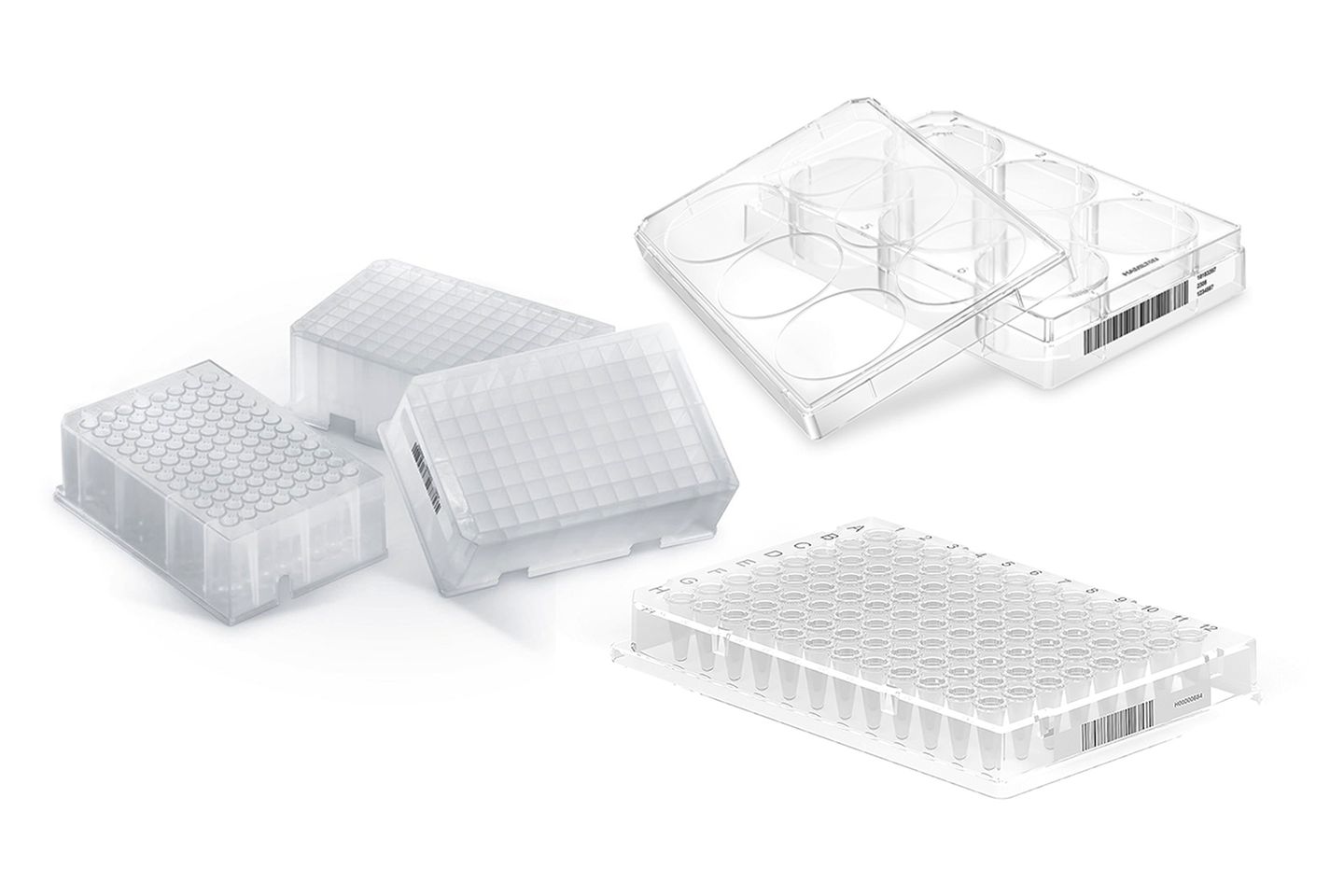 Assorted laboratory microplates including deep-well plates, a 6-well cell culture plate, and a 96-well plate