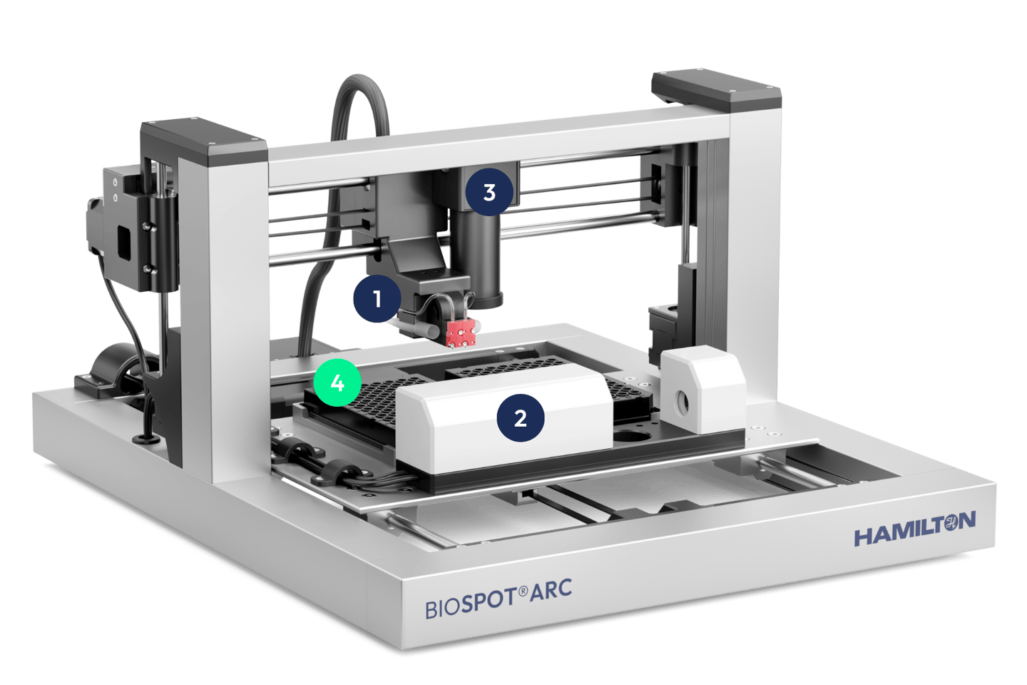 BIOSPOT Arc deck holding two microtiter plates with space for flexible substrate combinations.