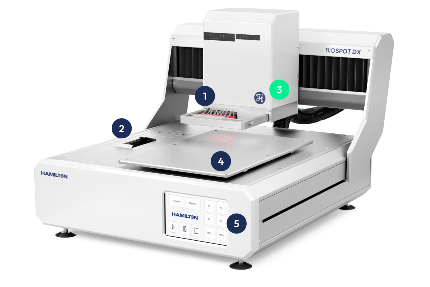 BIOSPOT DX and localization of Live camera view from TOPVIEW showing substrate alignment with fiducial detection and click-to-spot targeting.