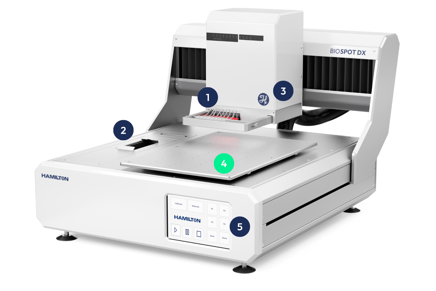 Open-format BIOSPOT DX deck displaying flexible layout for various substrates including slides, chips, and membranes.