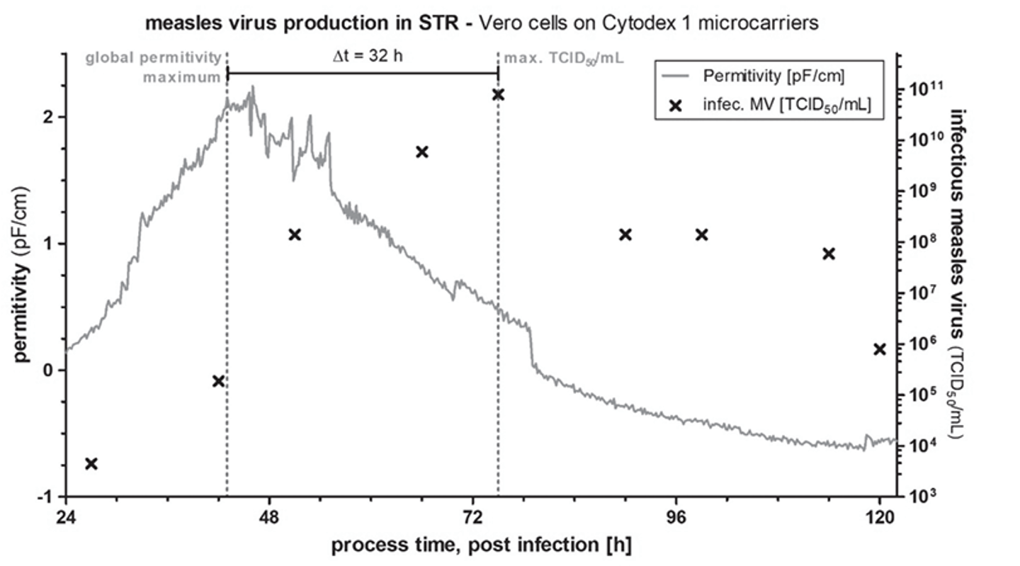 Graph showing measles virus production in STR Vero cells on Cytodex 1 microcarriers, plotting permitivity and infectious MV over 24–120 hours post infection.
