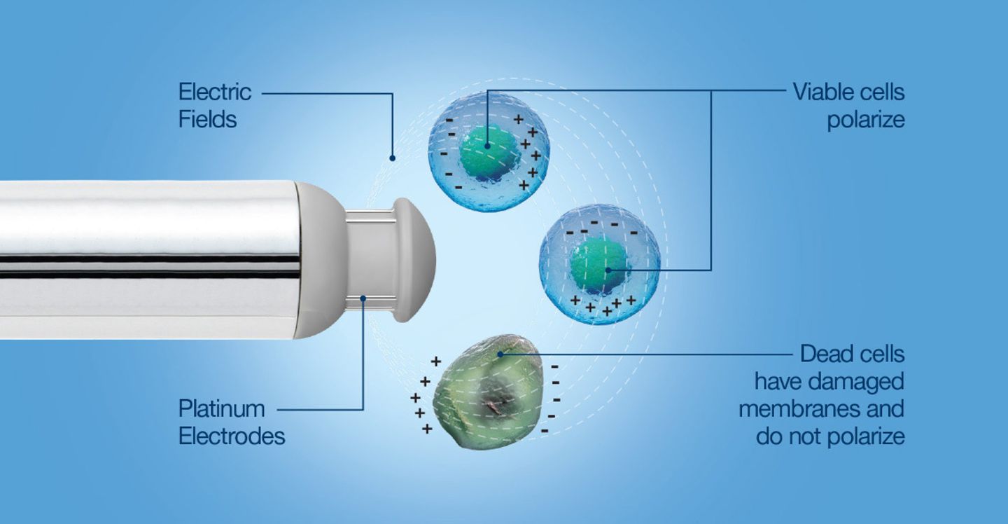 Biocapacitance Sensors