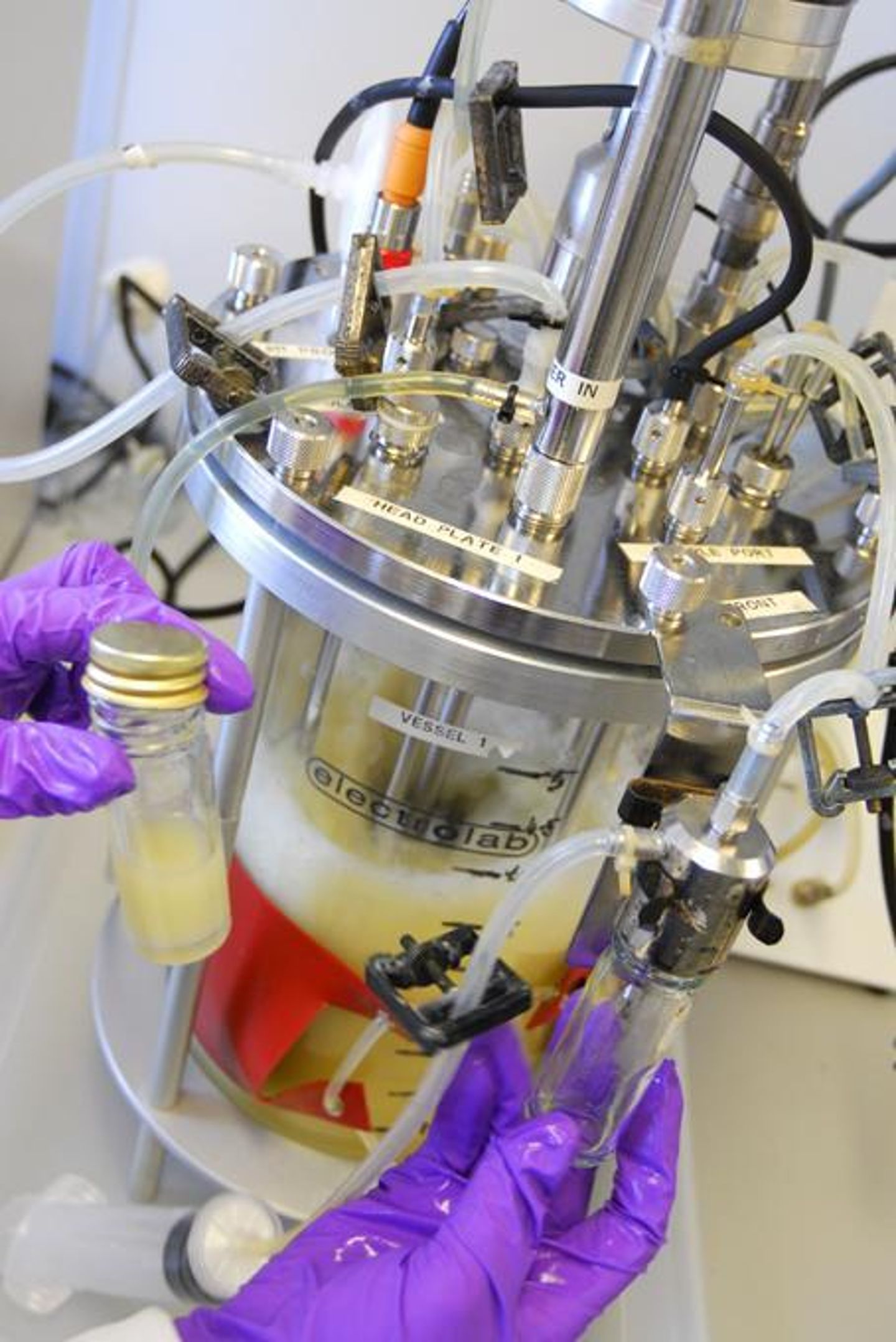 Real Time Total Cell Density Of Yeast Feature