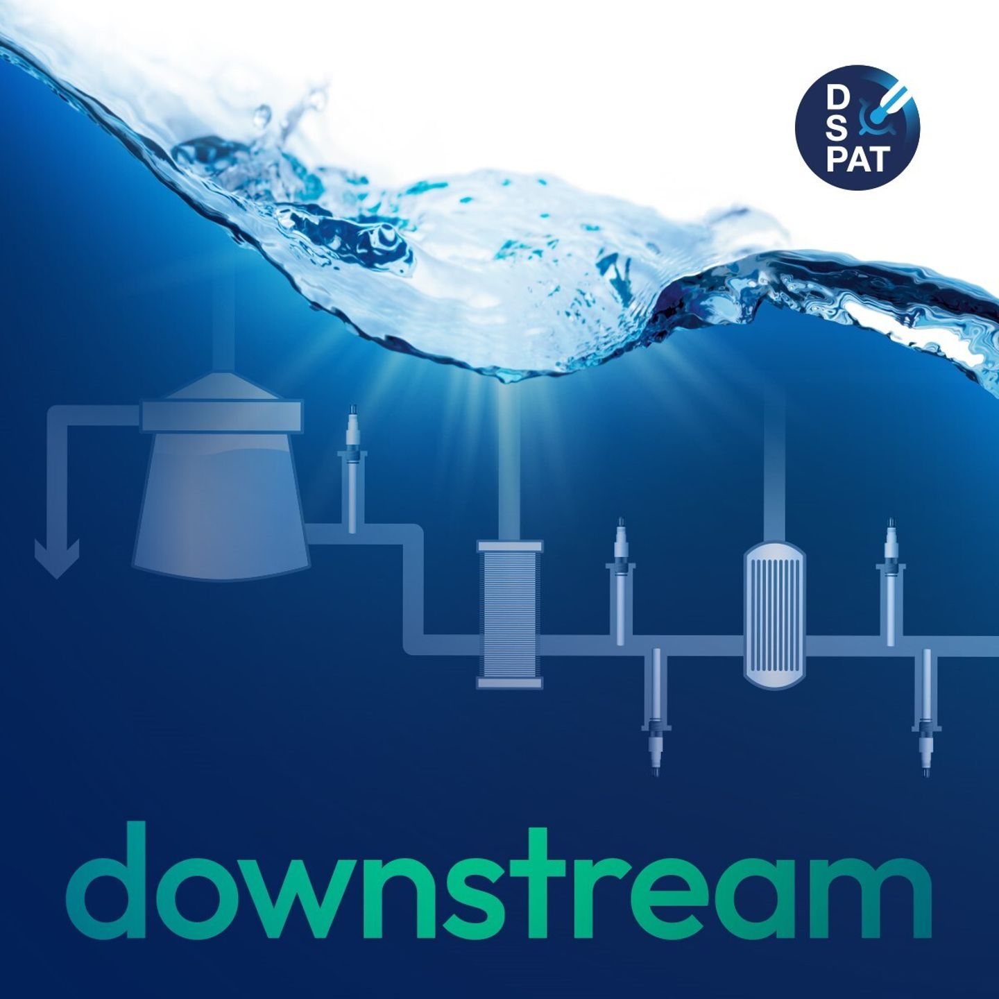 Biopharma downstream process