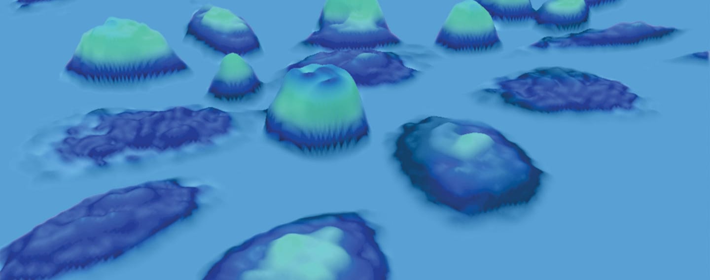 holographic microscopy