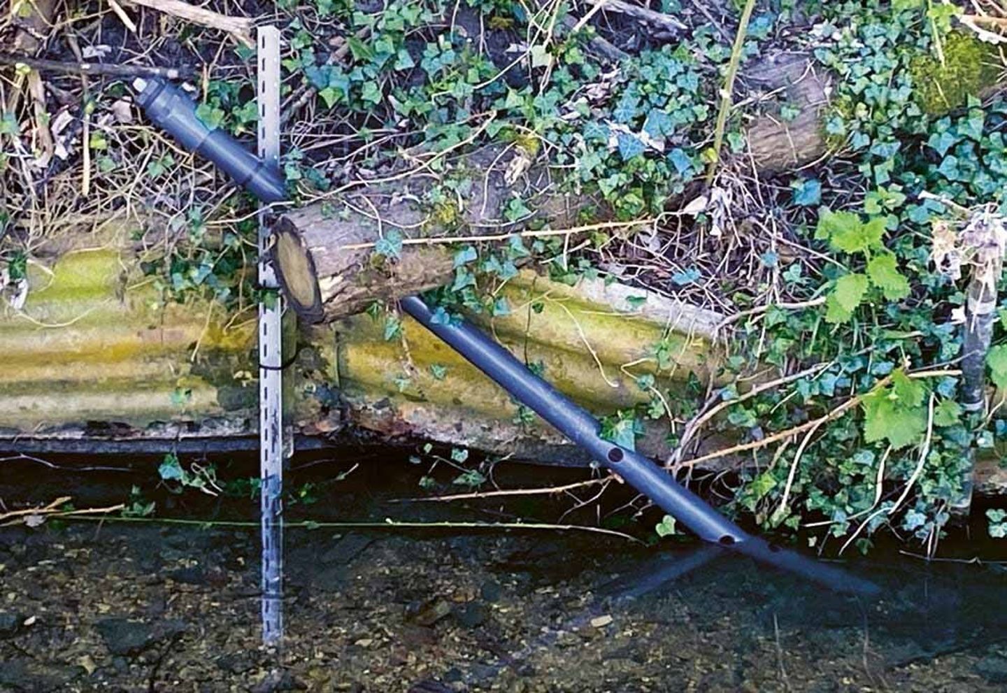Visiwater integrated with aquasense