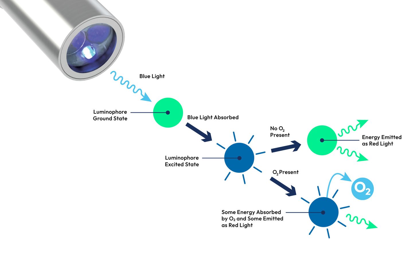 How dissolved oxygen sensor works