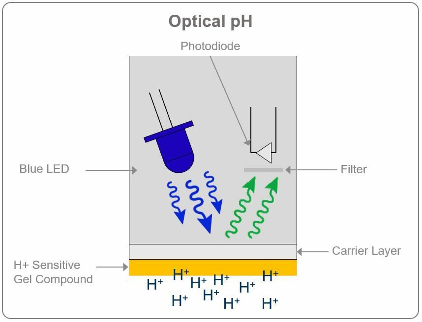 Diagram of an optical pH sensor showing a blue LED, photodiode, filter, carrier layer, and H⁺-sensitive gel compound.