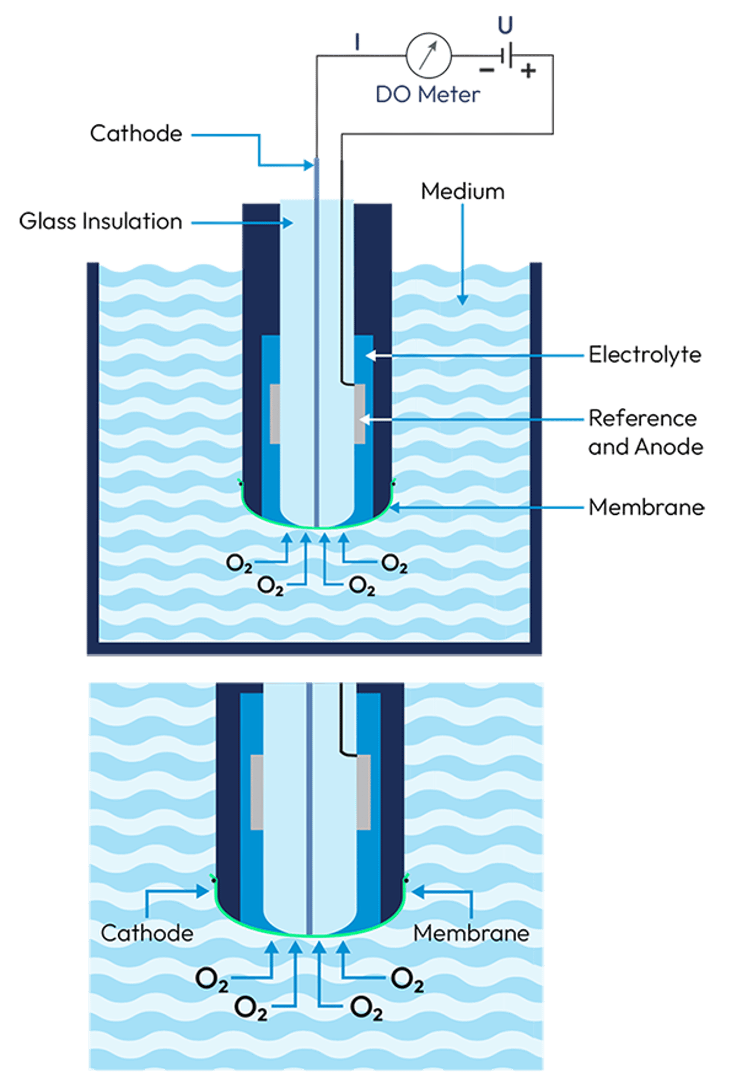 Diagram of a Clark-type dissolved oxygen sensor showing cathode, membrane, electrolyte, anode, and O₂ diffusion path.