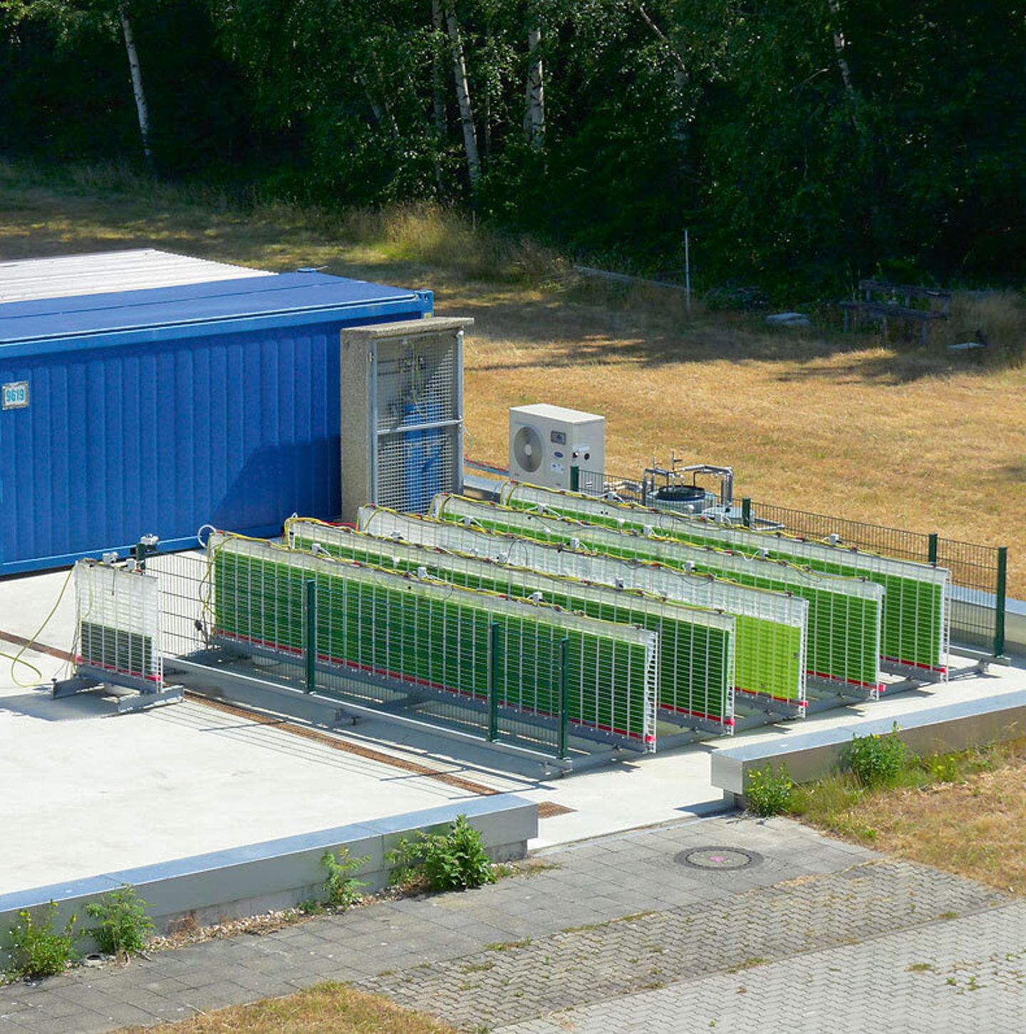 Algae Cultivation