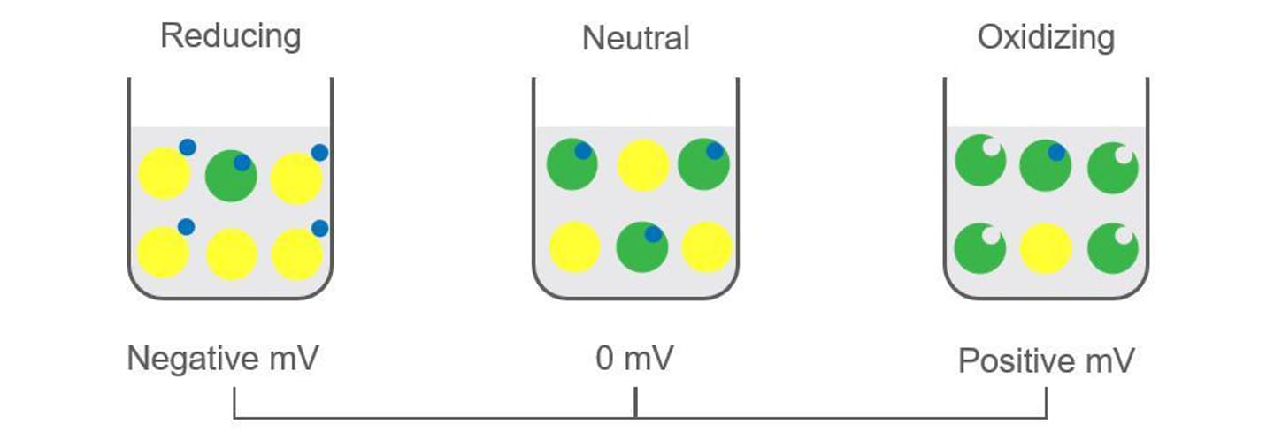 negative and positive orp