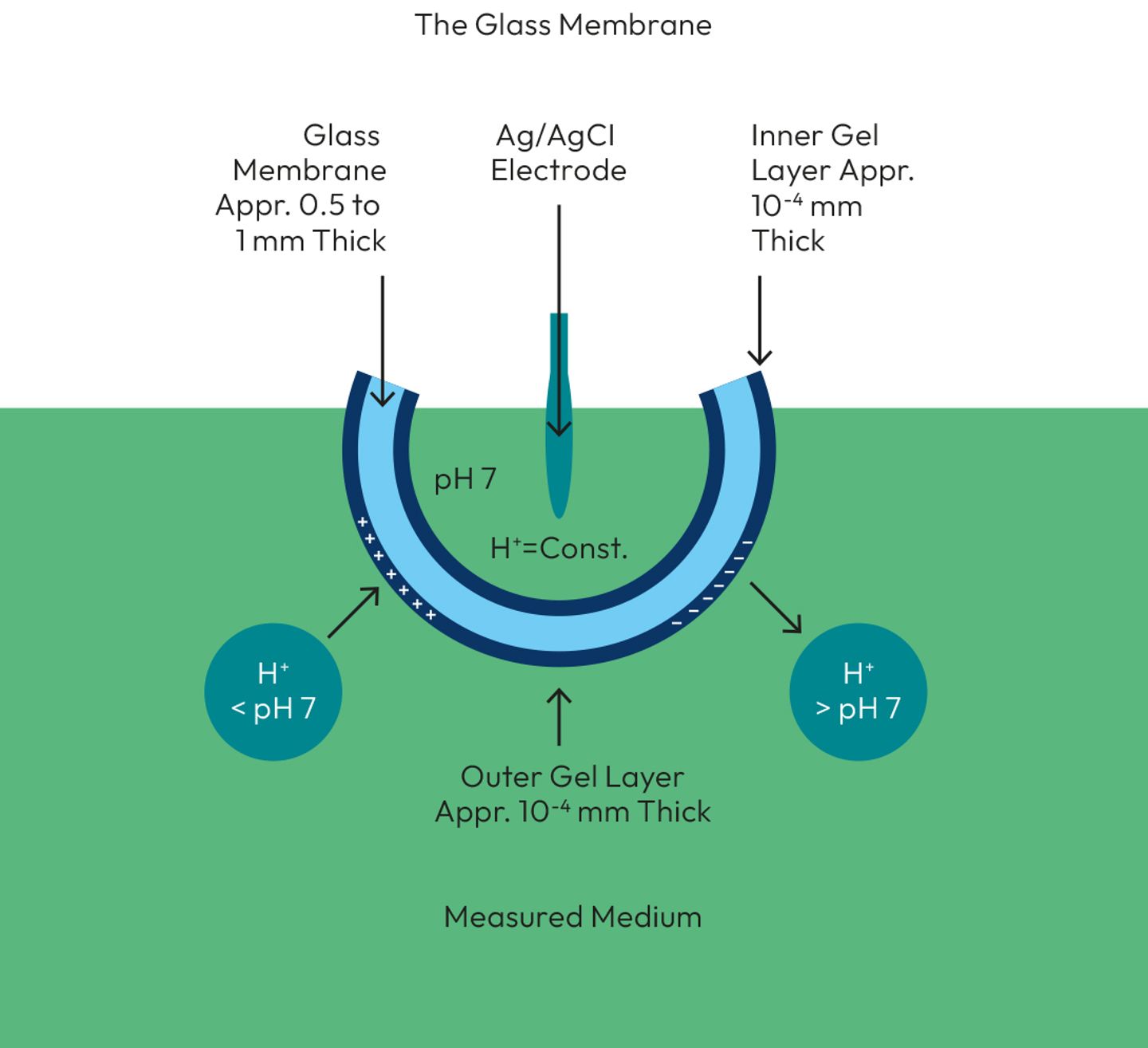 Diagram of a pH glass membrane showing glass membrane, inner/outer gel layers (~10⁻⁴ mm), and Ag/AgCl electrode.