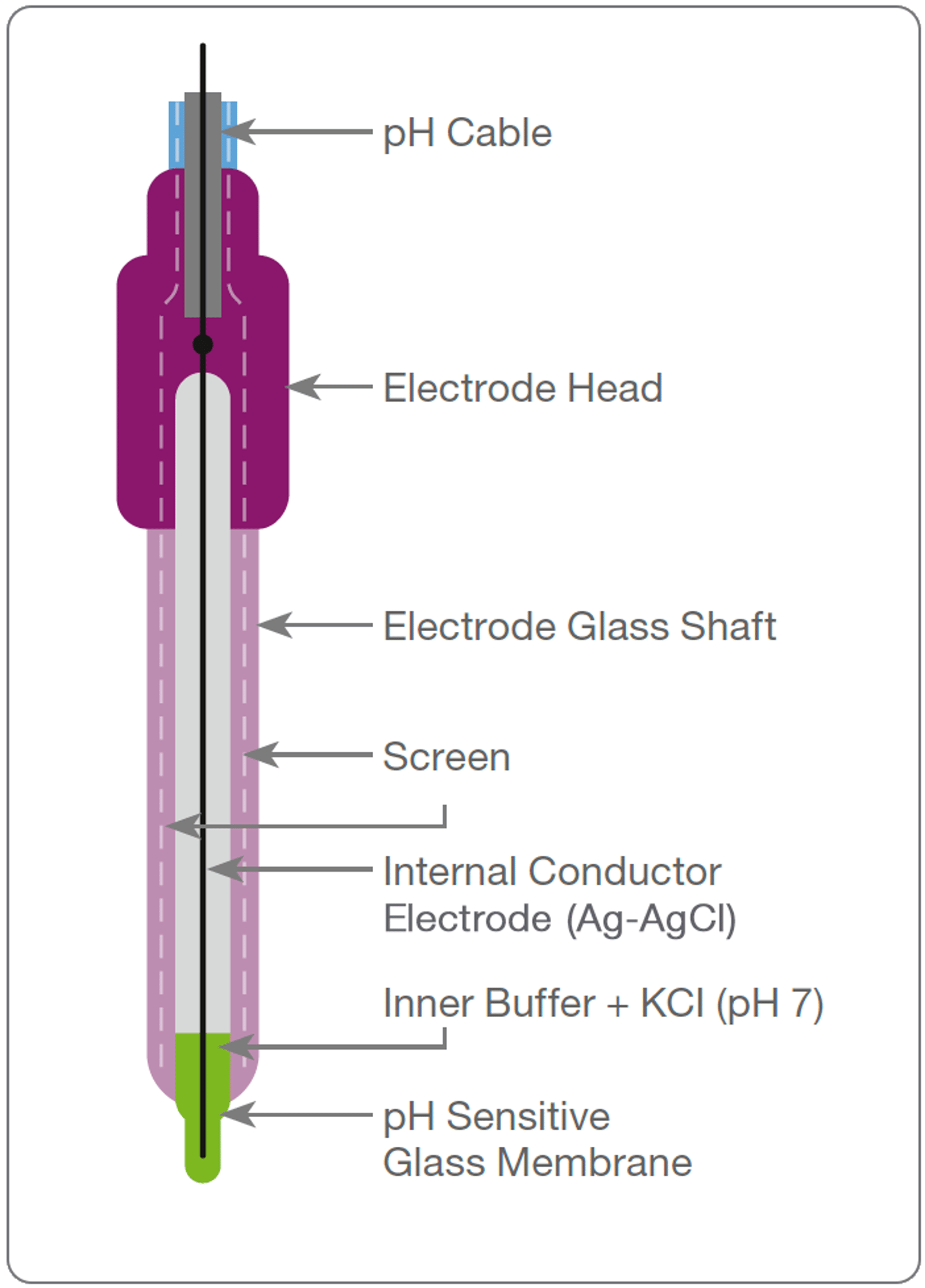 Measurement Electrode analysis