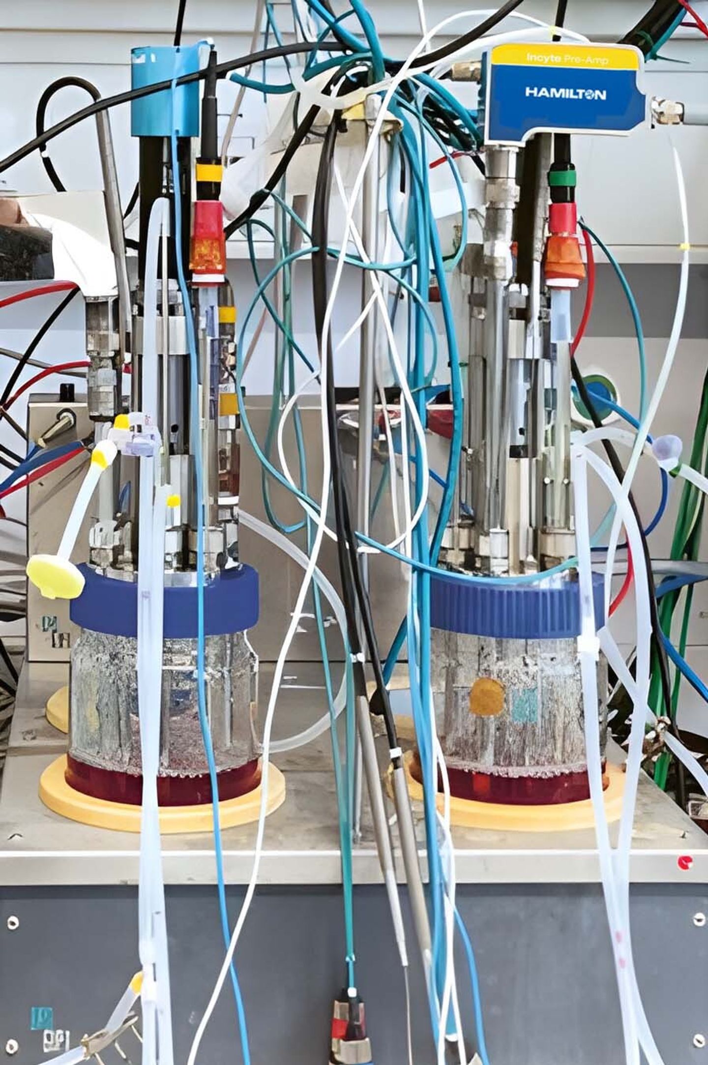 Bioreactor set up with Hamilton’s Incyte sensor