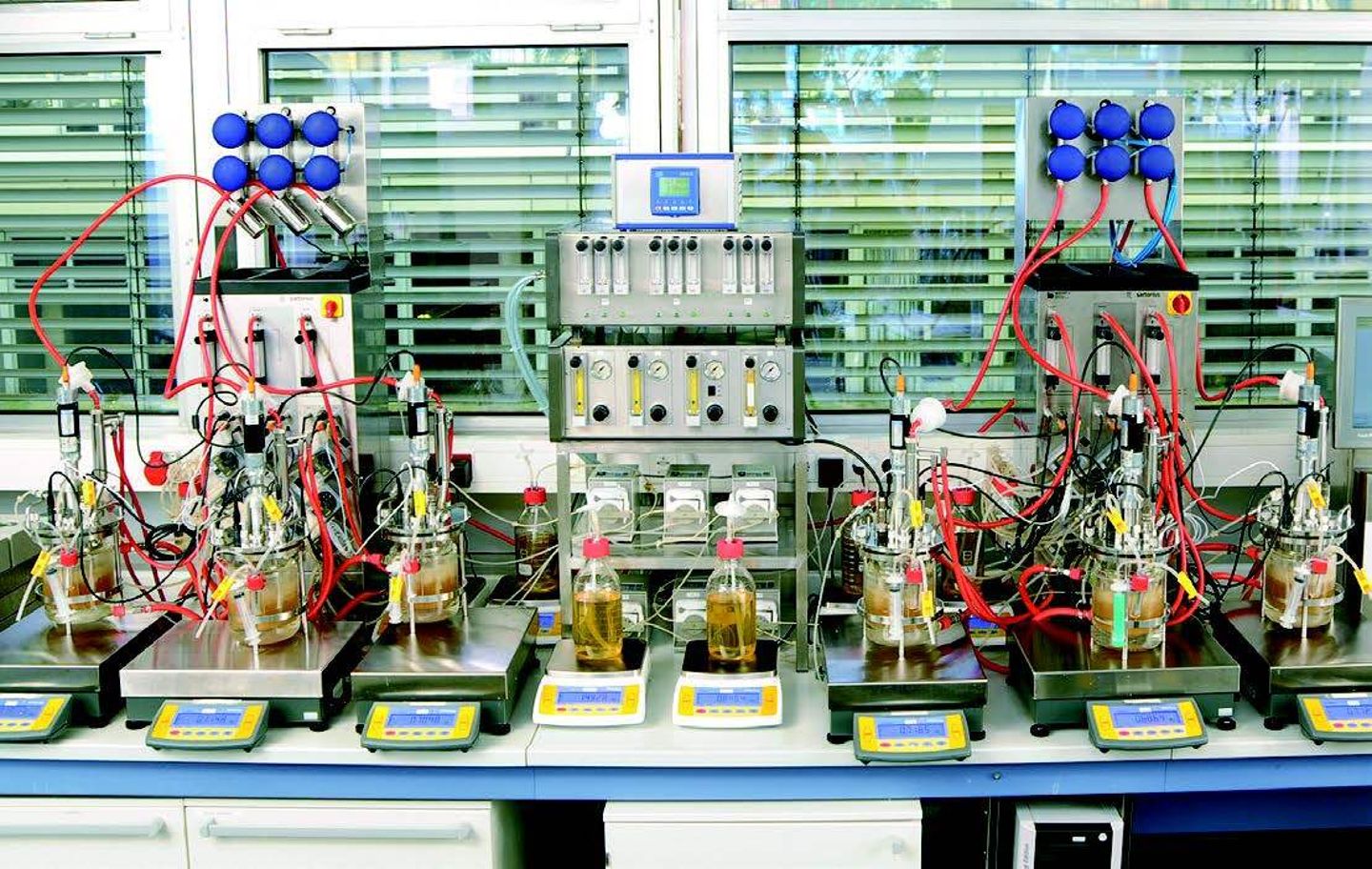Biostat multifermenter
