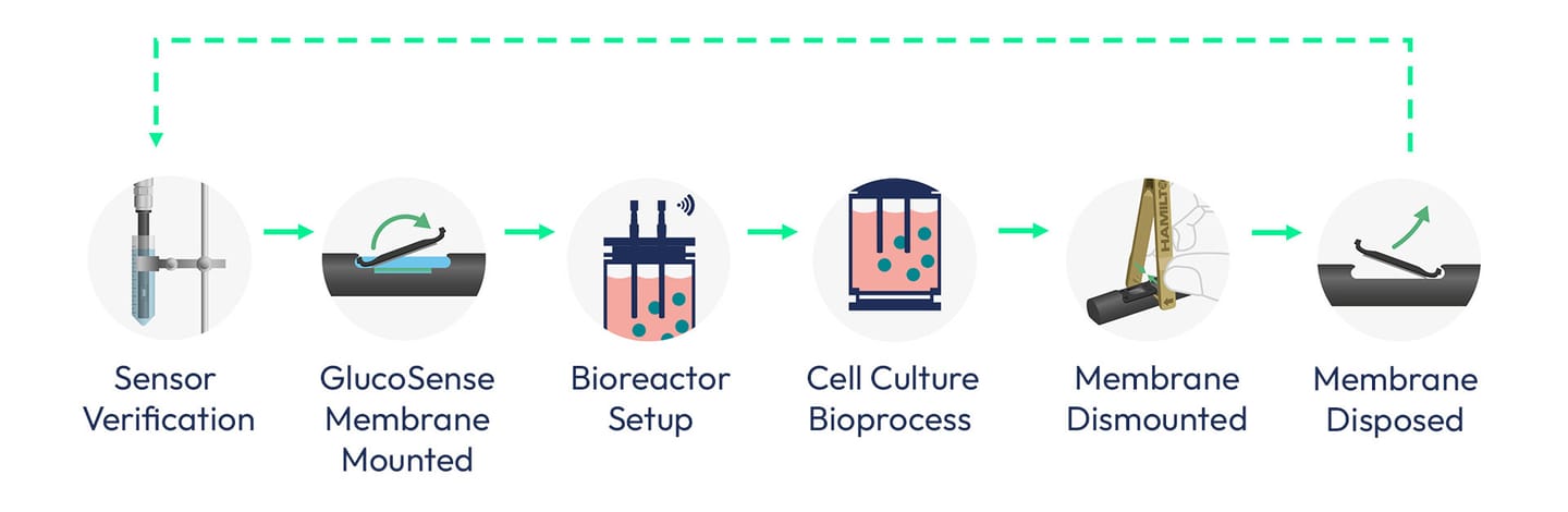 Glucosense lifecycle
