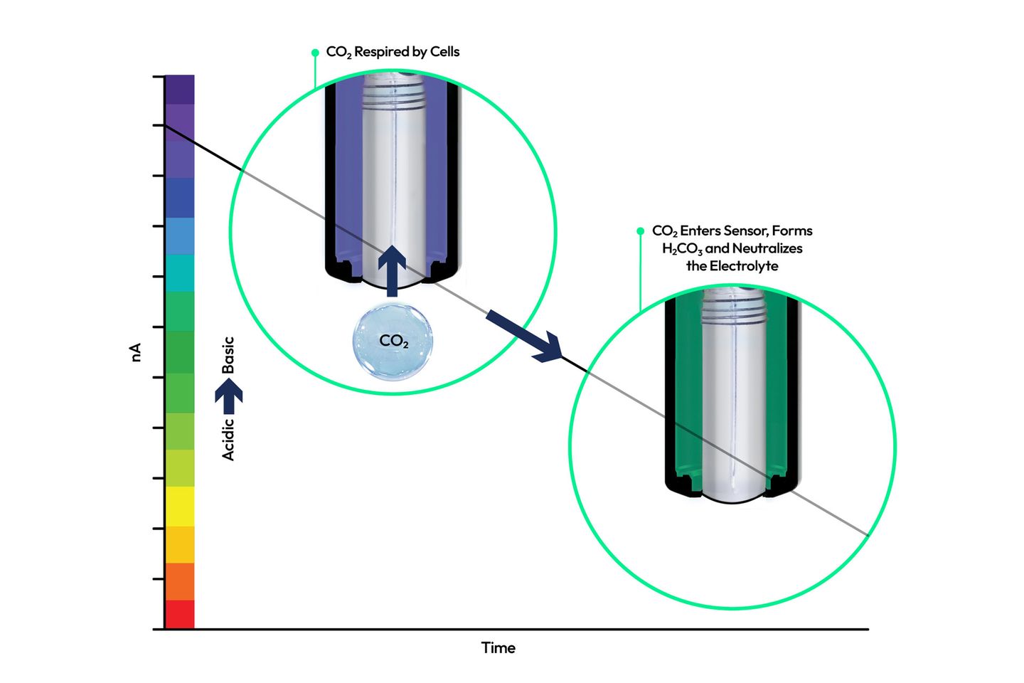 Optical dissolved oxygen sensors fouling