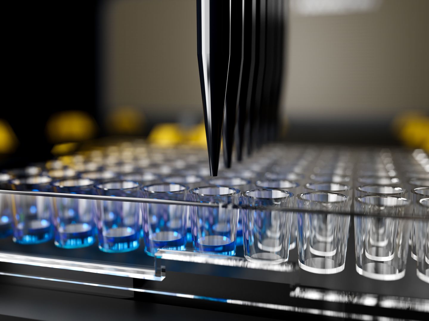 Multi-channel pipette tips dispensing blue liquid into a clear microplate well array