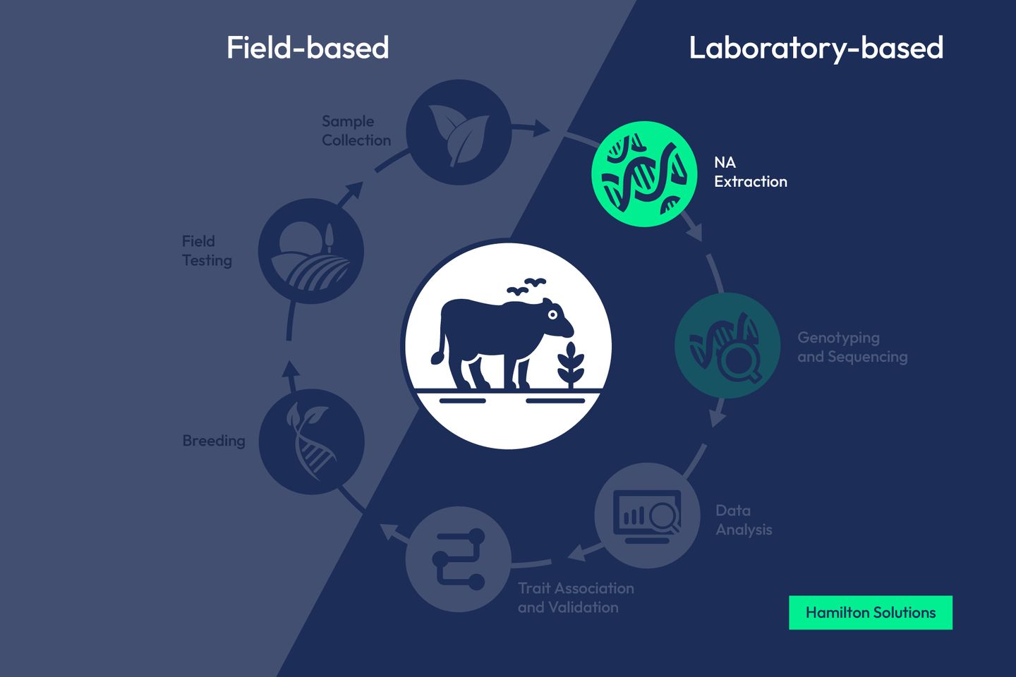 Agrieconomics workflow