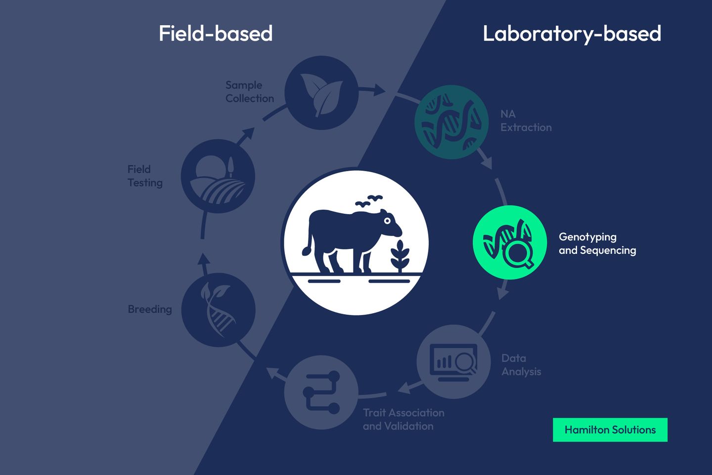 Agrieconomics workflow