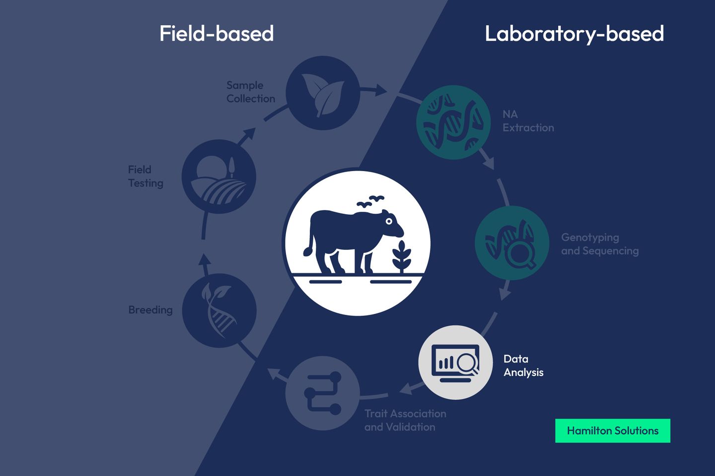 Agrieconomics workflow