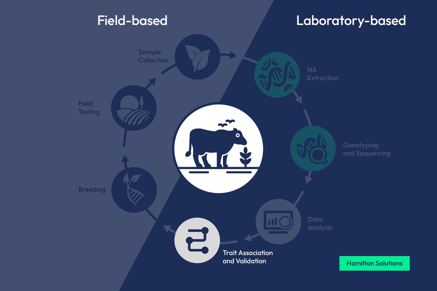 Agrieconomics workflow