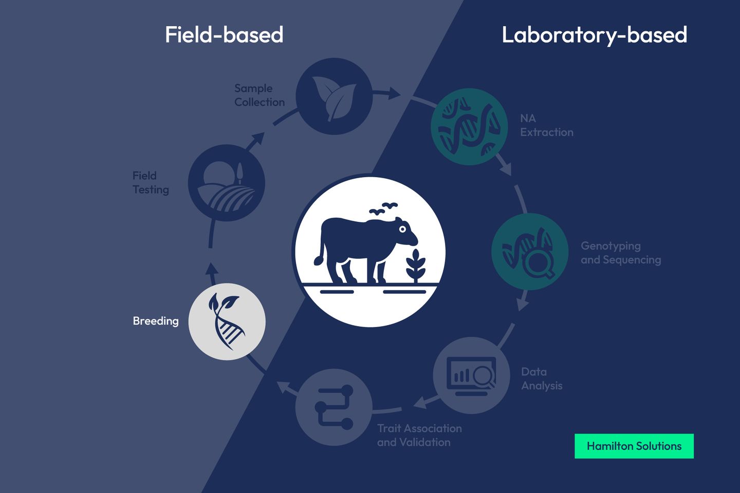 Agrieconomics workflow