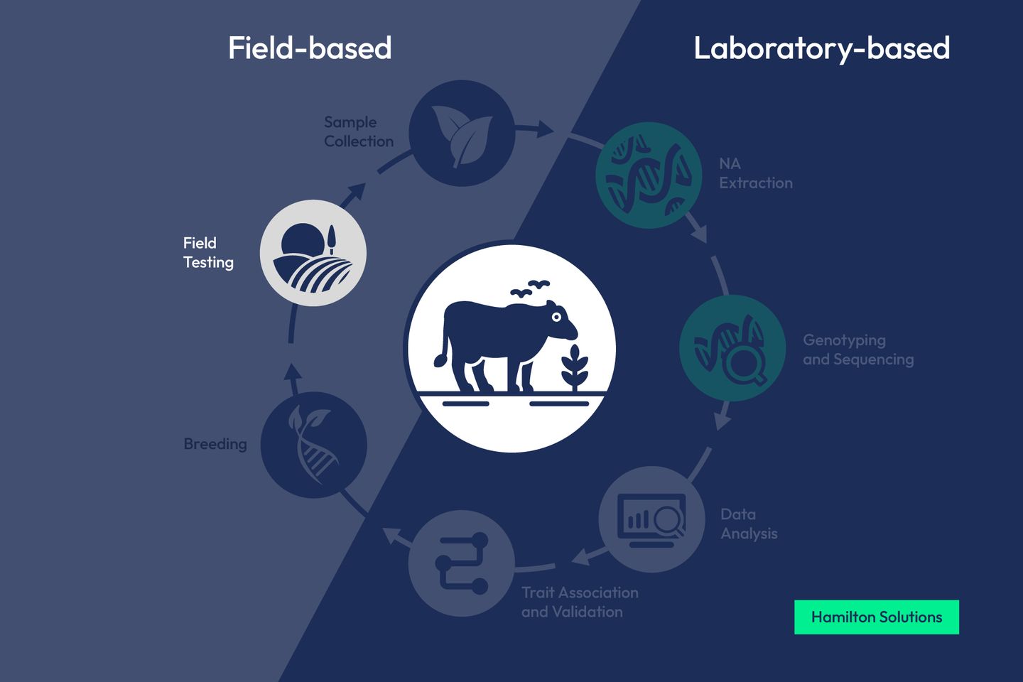 Agrieconomics workflow