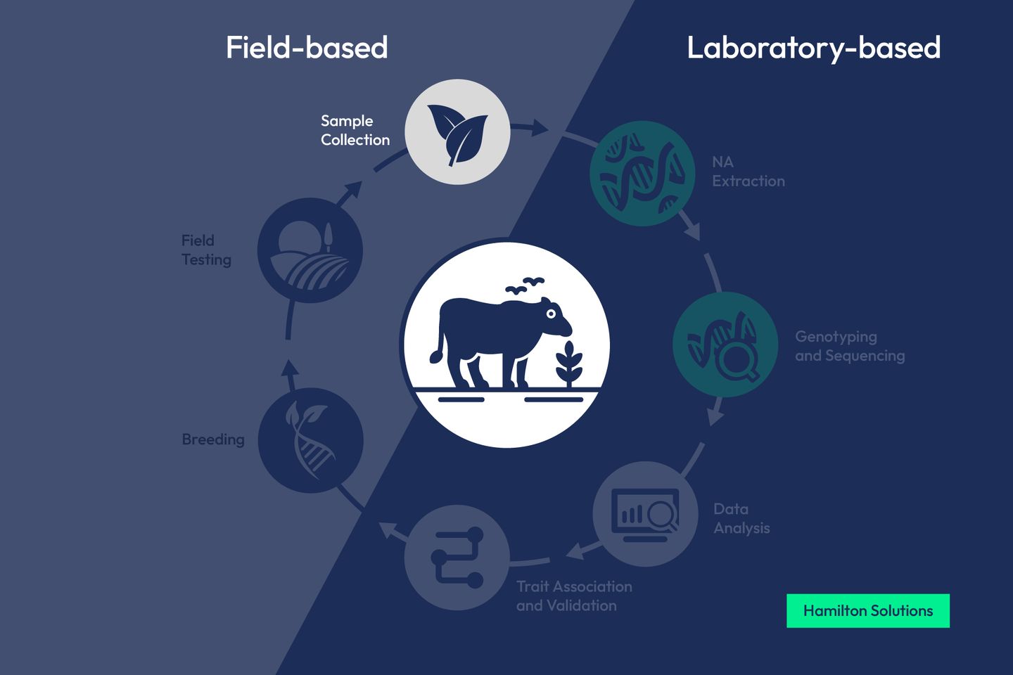 Agrieconomics workflow