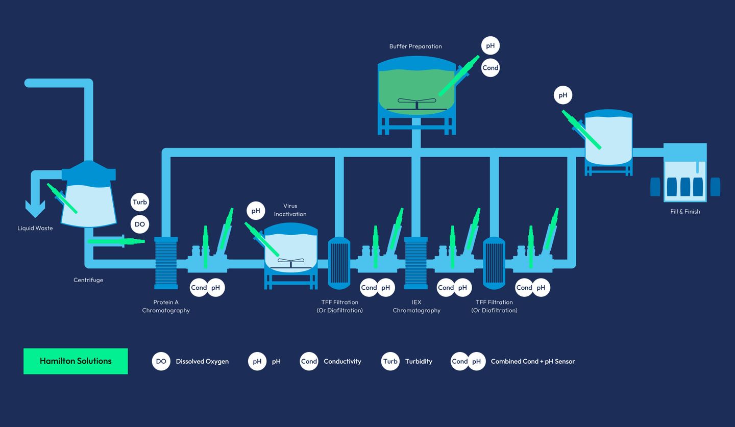 Bioprocess downstream workflow