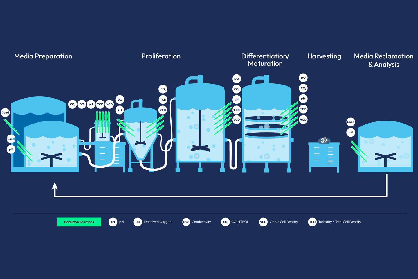 cultivated fish workflow