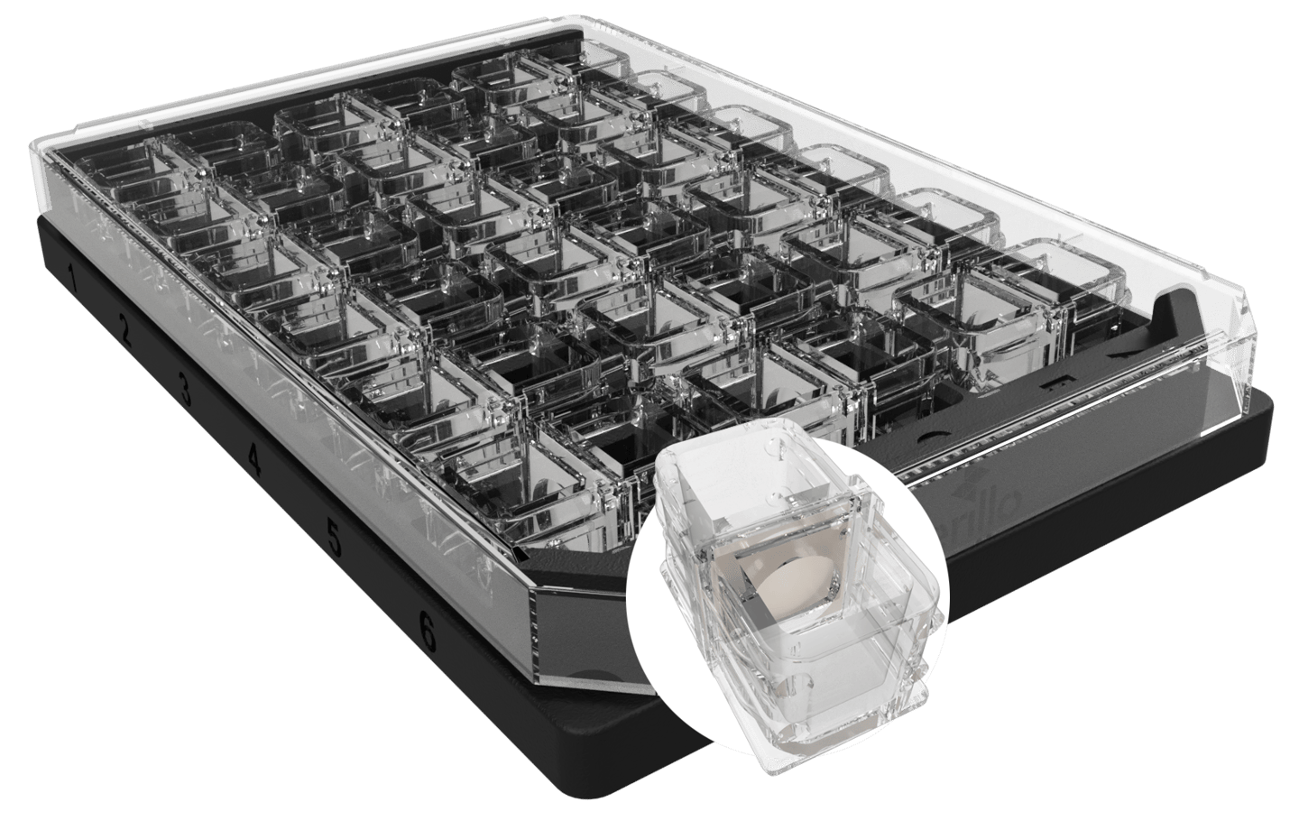 24-well co-culture plate with transparent insert wells shown in tray; inset shows single well with membrane insert
